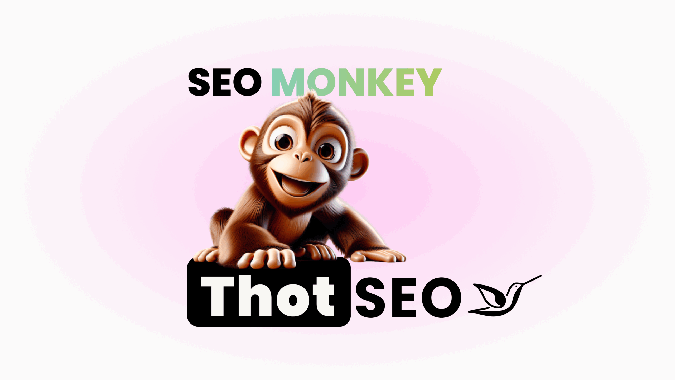 Témoignage SEO monkey